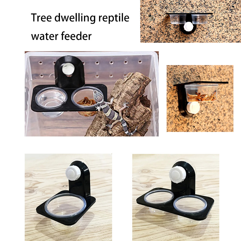 Water Dish Reptile - Reptiel Tank Accessoires Insect Spider Mieren