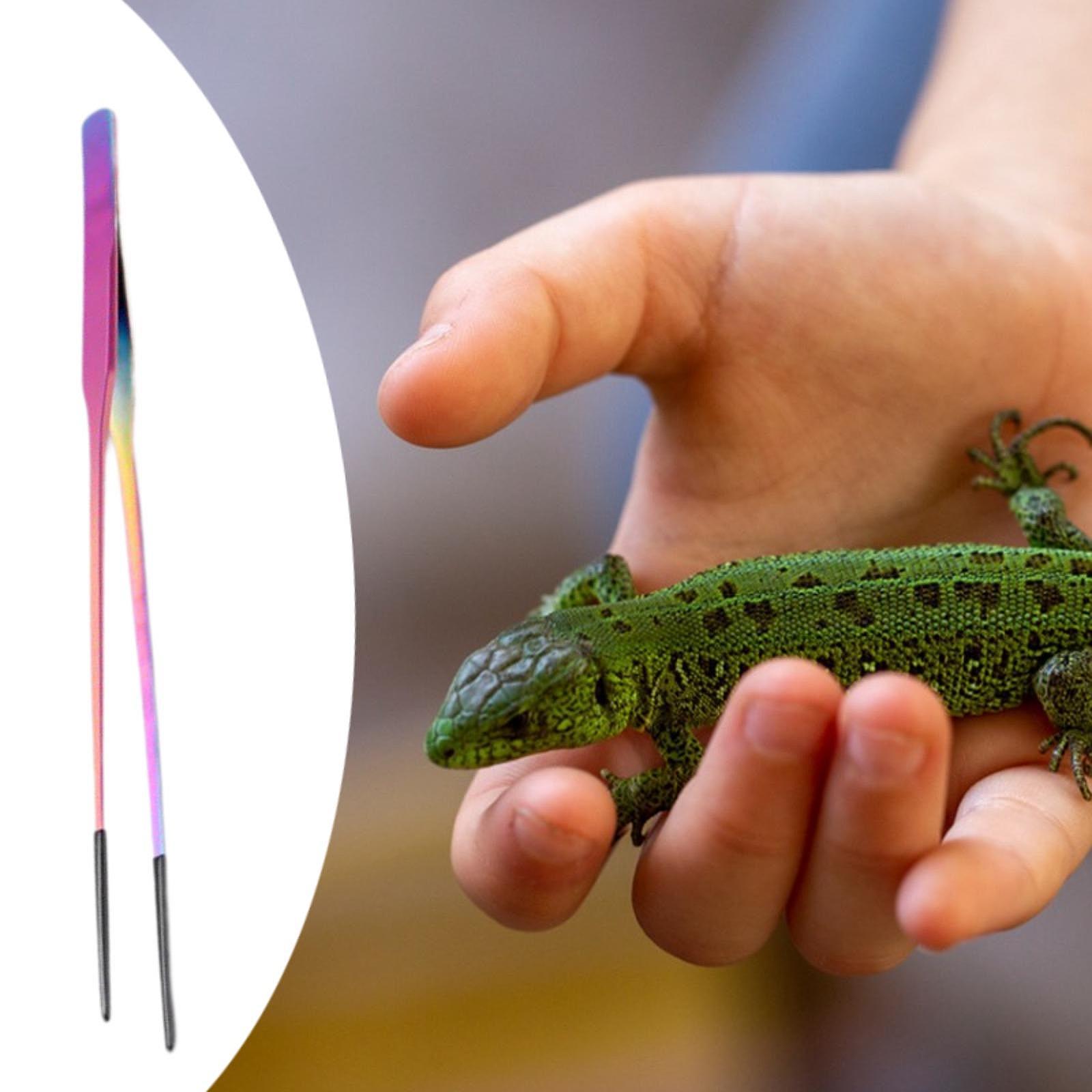 Aquariumpincet Reptielenvoeder - Feeding Tong Stainless recensie en prijs