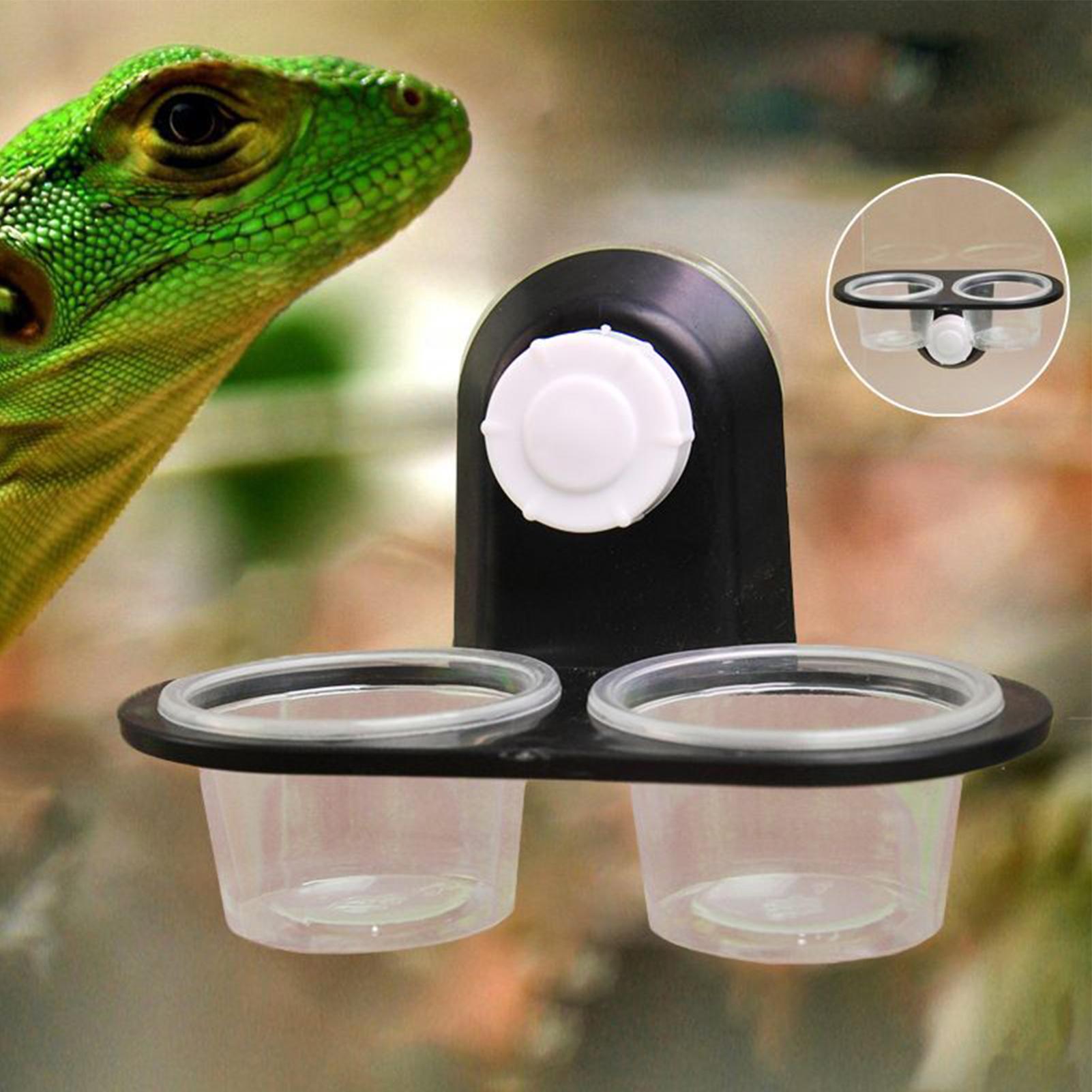 Gecko Voedselbak Gecko Voederb - Water Dish Reptile recensie en prijs