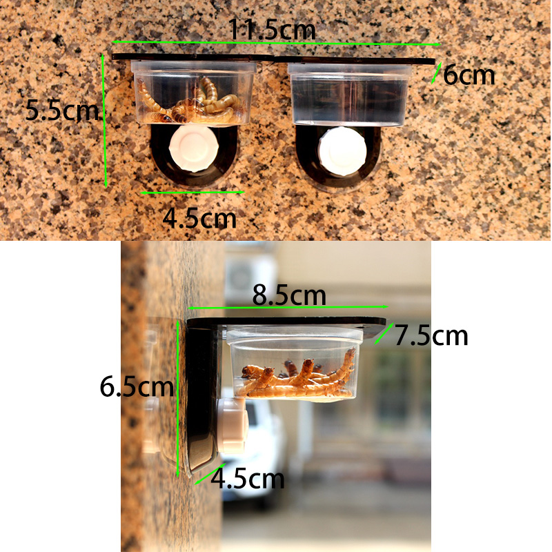 Reptiel Tank Accessoires Insec - Water Dish Reptile recensie en prijs
