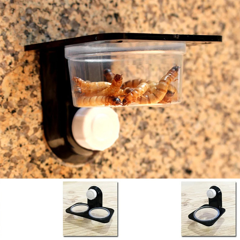 Reptiel Tank Accessoires Insec - Water Dish Reptile recensie en prijs