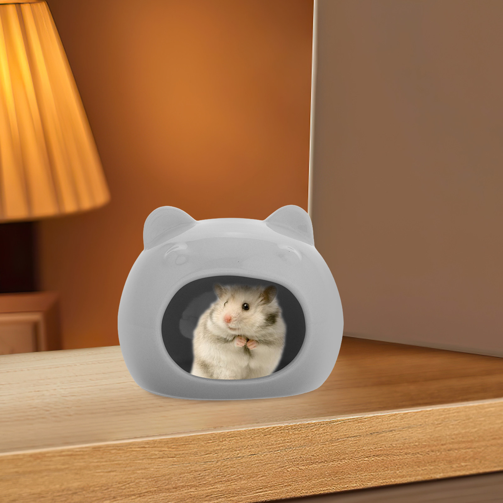 Keramische Hamster Schuilplaat - Hide Cave Ceramic recensie en prijs