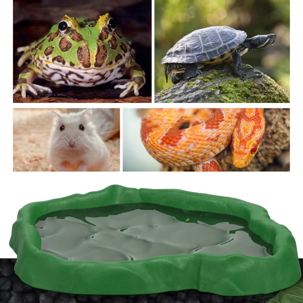 ABS-hars reptielenvoederbak im - Water Dish Reptile recensie en prijs